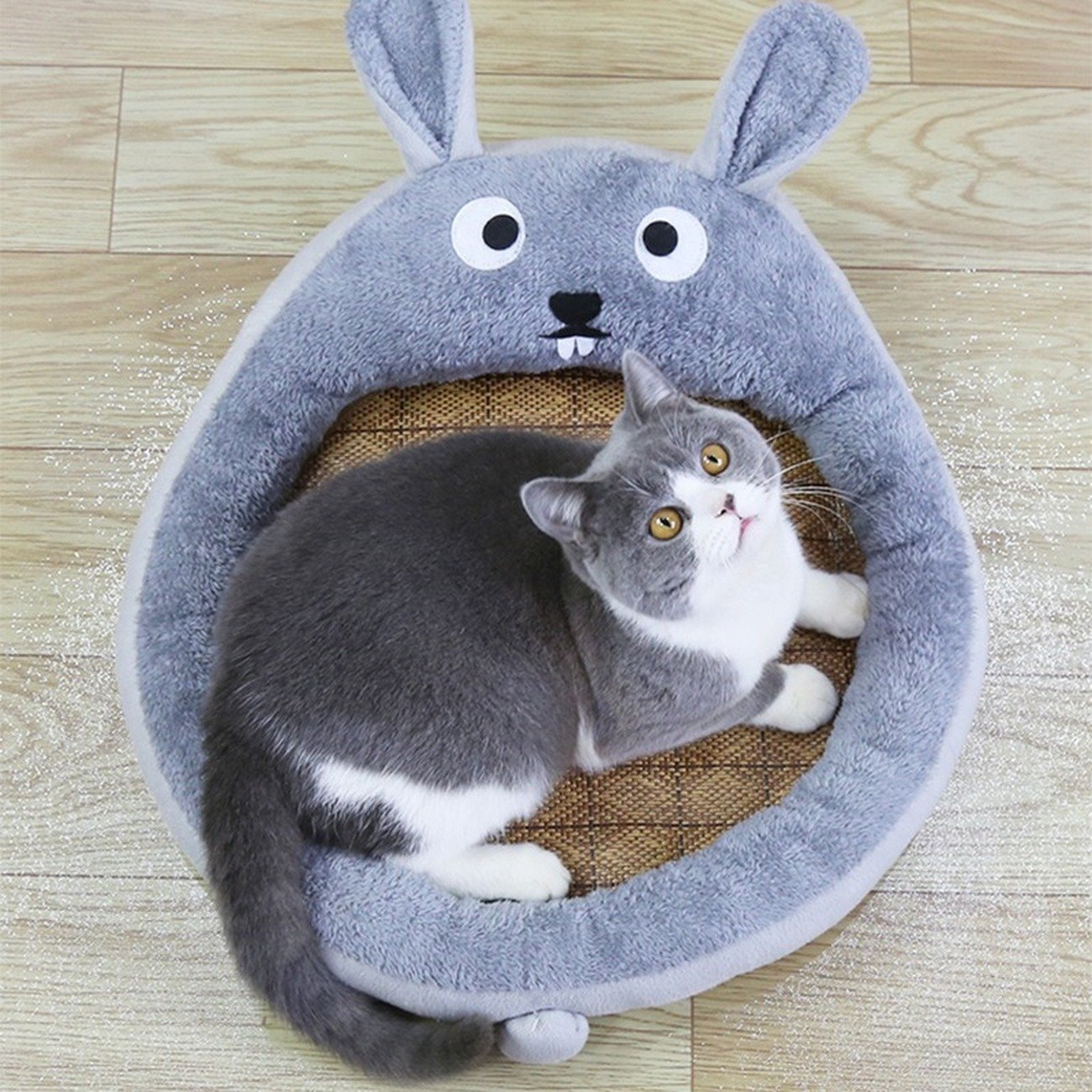 Large & Small Bed for Pets